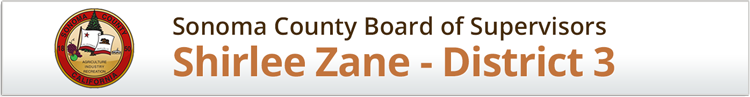 Shirlee Zane - District 3 Banner Wide