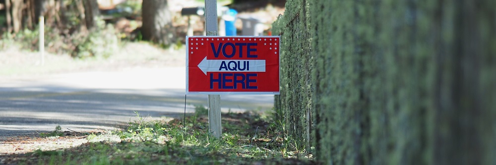 A picture of a "Vote Here/Vote Aquí" sign on some grass alongside a road to the left and a wooden fence to the right.