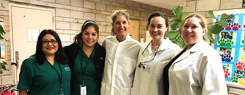 Volunteers at dental assessments