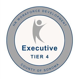Tier 4: Executive