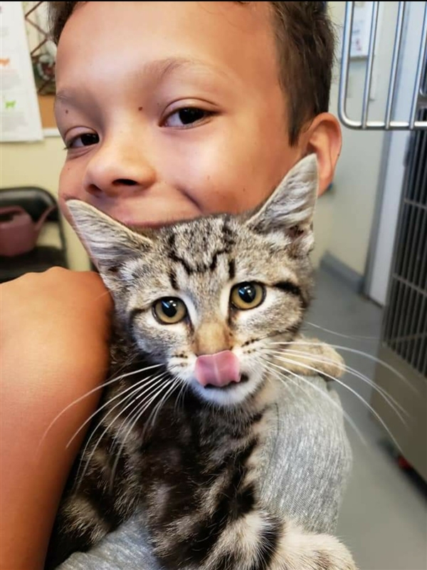 boy holding cat