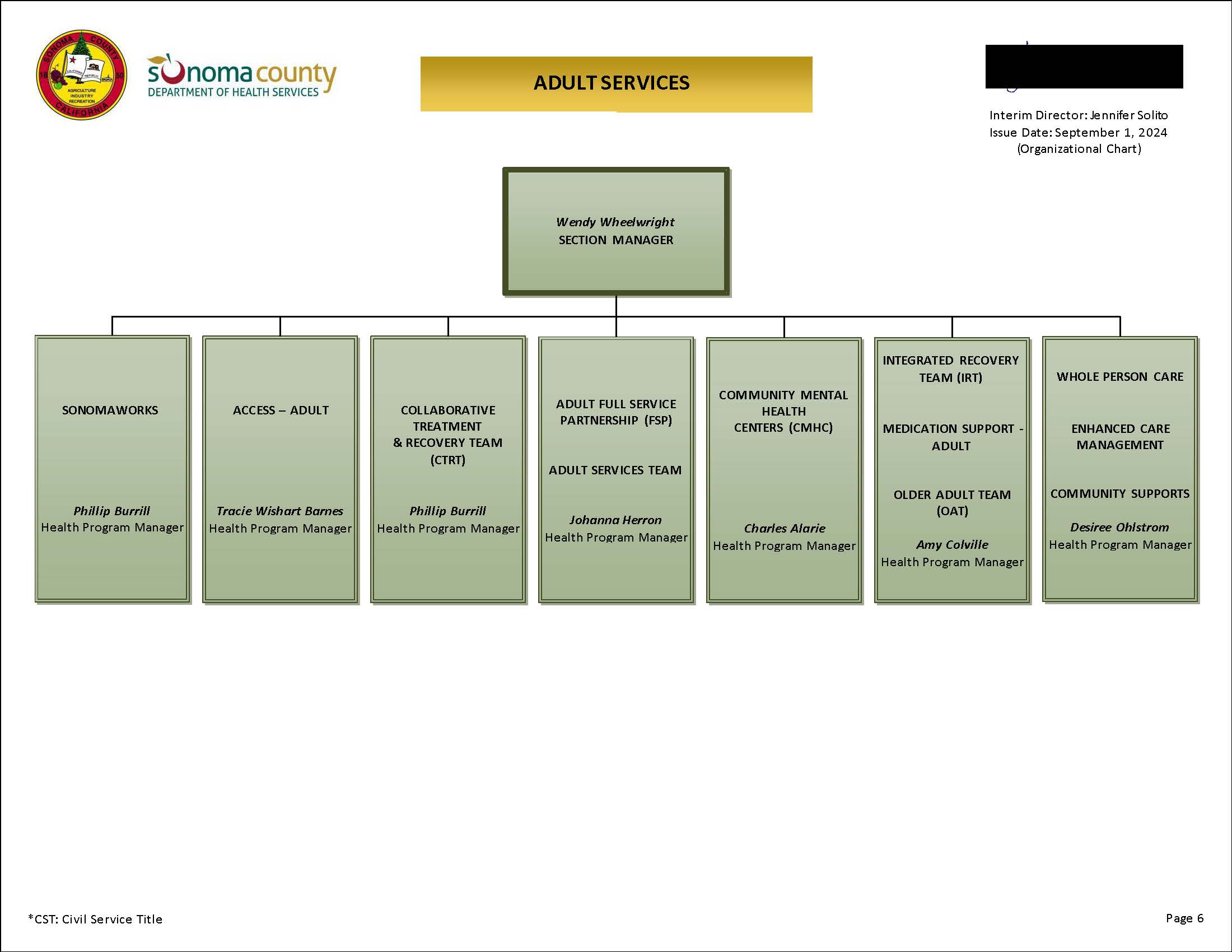 Adult Services Organizational Chart