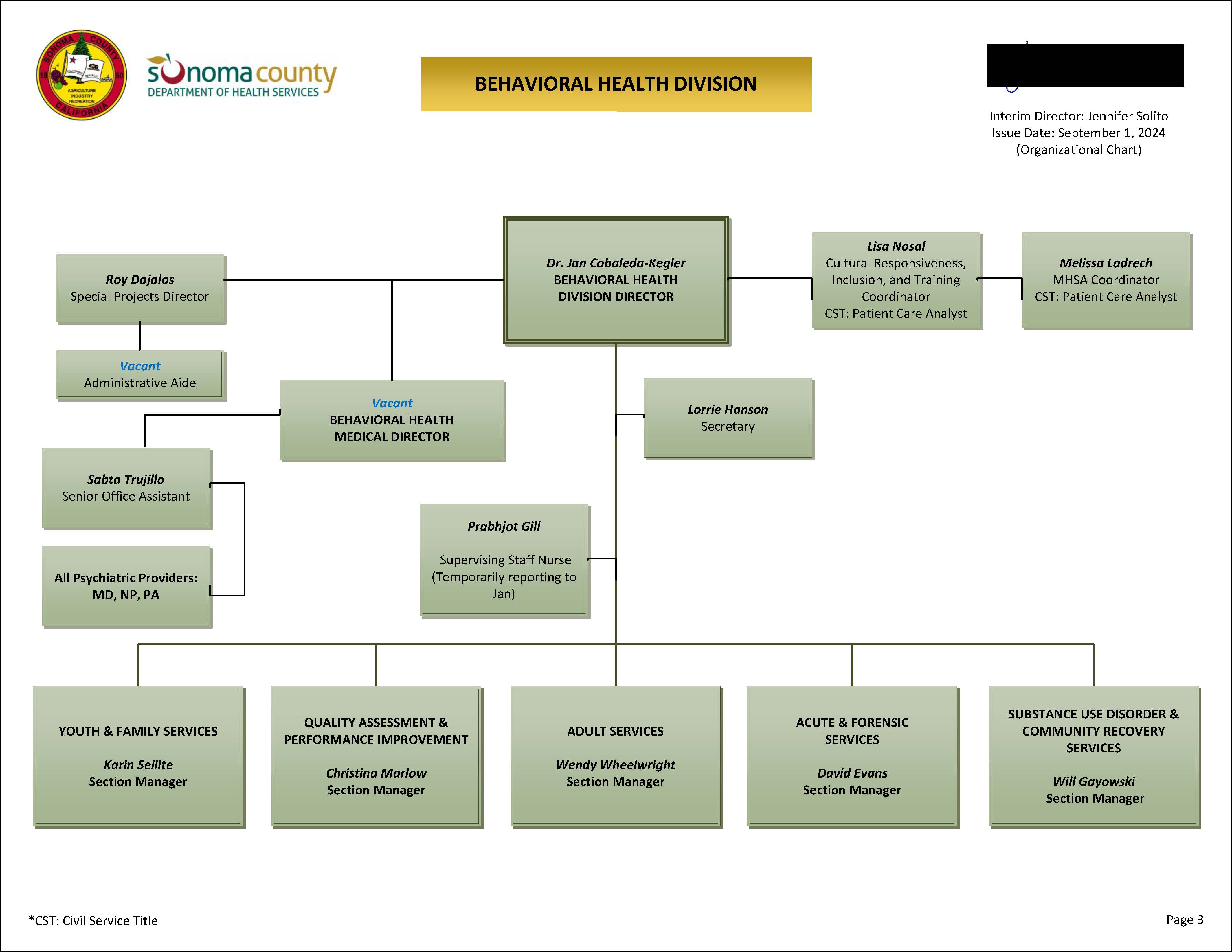 Behavioral Health Division Organizational Chart